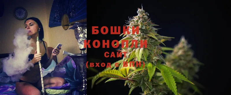 где купить   Гай  блэк спрут как войти  Бошки марихуана SATIVA & INDICA 